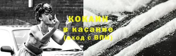 трава Осинники