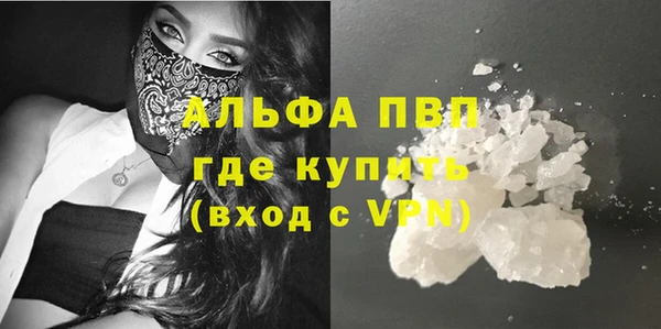 трава Осинники