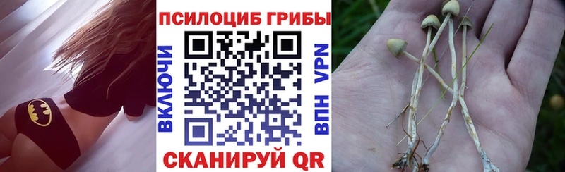 Галлюциногенные грибы прущие грибы  Харабали 